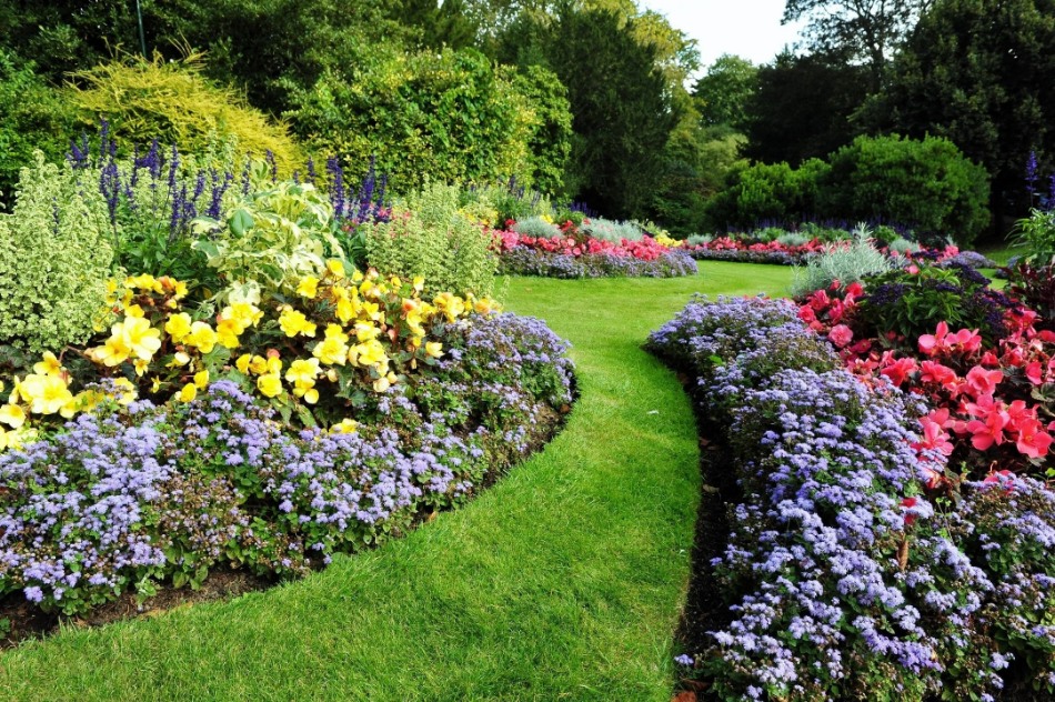 green way with flower trees